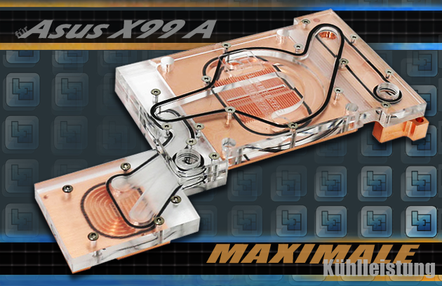 Liquied Extasy Kühler